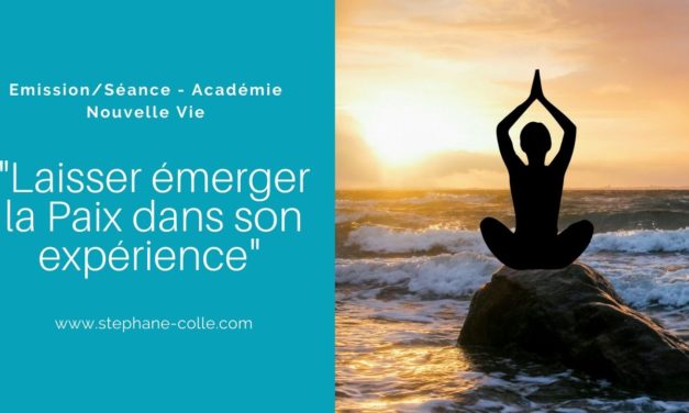 13/01/2020 Séance/Emission sur la Web TV ANV : “Laisser émerger la Paix dans son expérience”