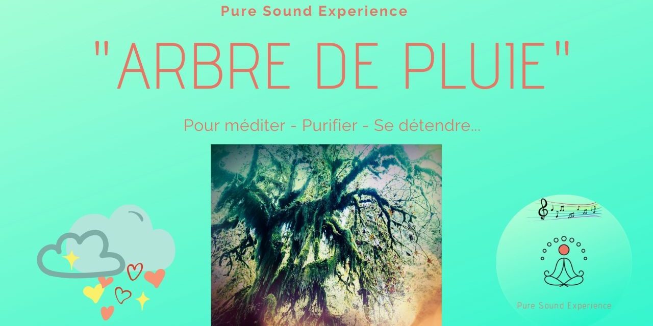 Vidéo : “Arbre de pluie” – Pour méditer – Se détendre – Se calmer… – Pure Sound Experience