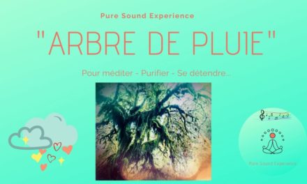 Vidéo : “Arbre de pluie” – Pour méditer – Se détendre – Se calmer… – Pure Sound Experience