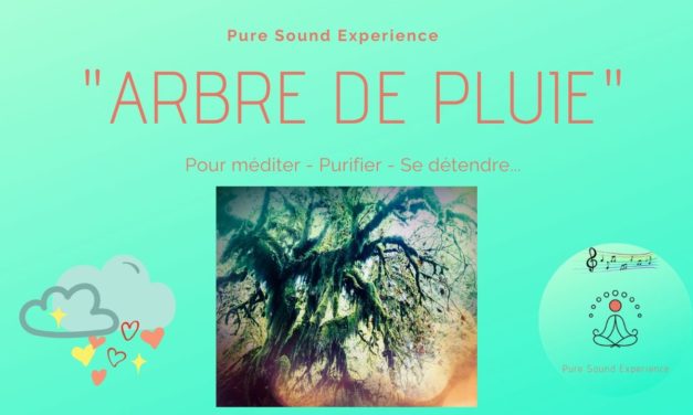 Vidéo : “Arbre de pluie” – Pour méditer – Se détendre – Se calmer… – Pure Sound Experience