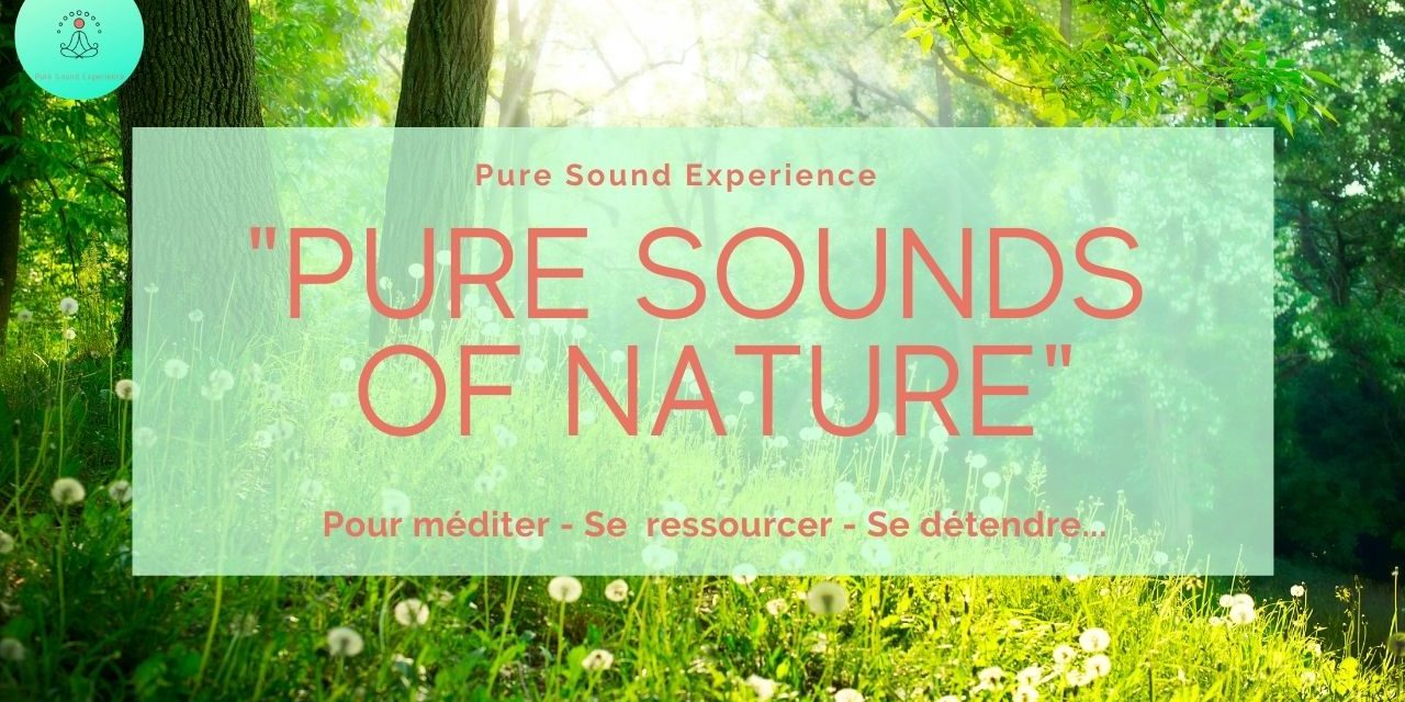 Vidéo : “Pure Sounds of Nature” – Sons de la nature au printemps – Chant des oiseaux –  Grillons – Vent dans les arbres…