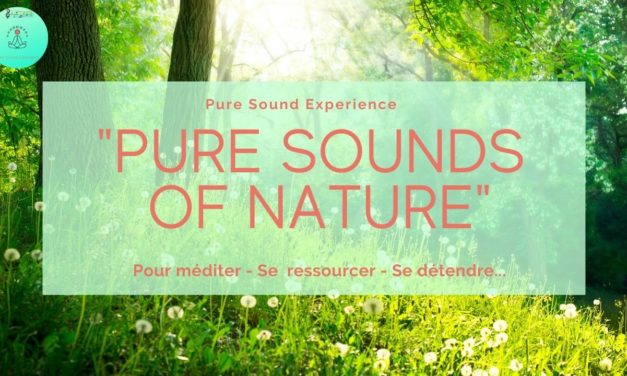 Vidéo : « Pure Sounds of Nature » – Sons de la nature au printemps – Chant des oiseaux –  Grillons – Vent dans les arbres…