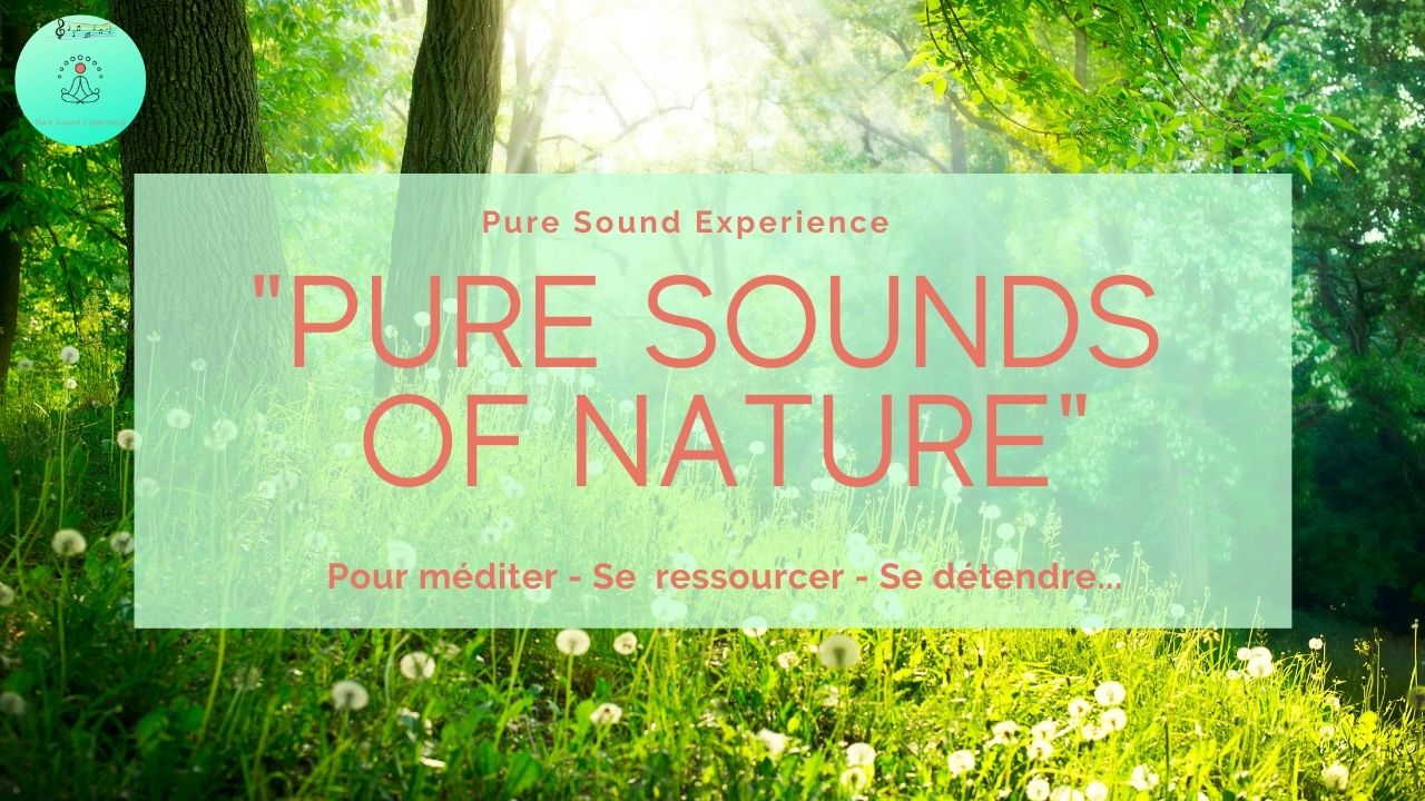 Vidéo : “Pure Sounds of Nature” – Sons de la nature au printemps – Chant des oiseaux –  Grillons – Vent dans les arbres…