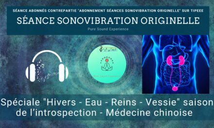 07/11/2022 Séance SonoVibration Originelle spéciale « Hivers – Eau – Reins – Vessie » saison de l’introspection